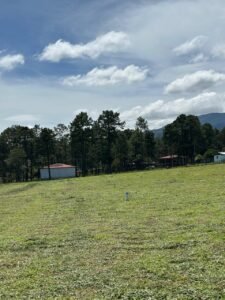 whatsapp image 2025 11 16 at 21.54.37 (1)