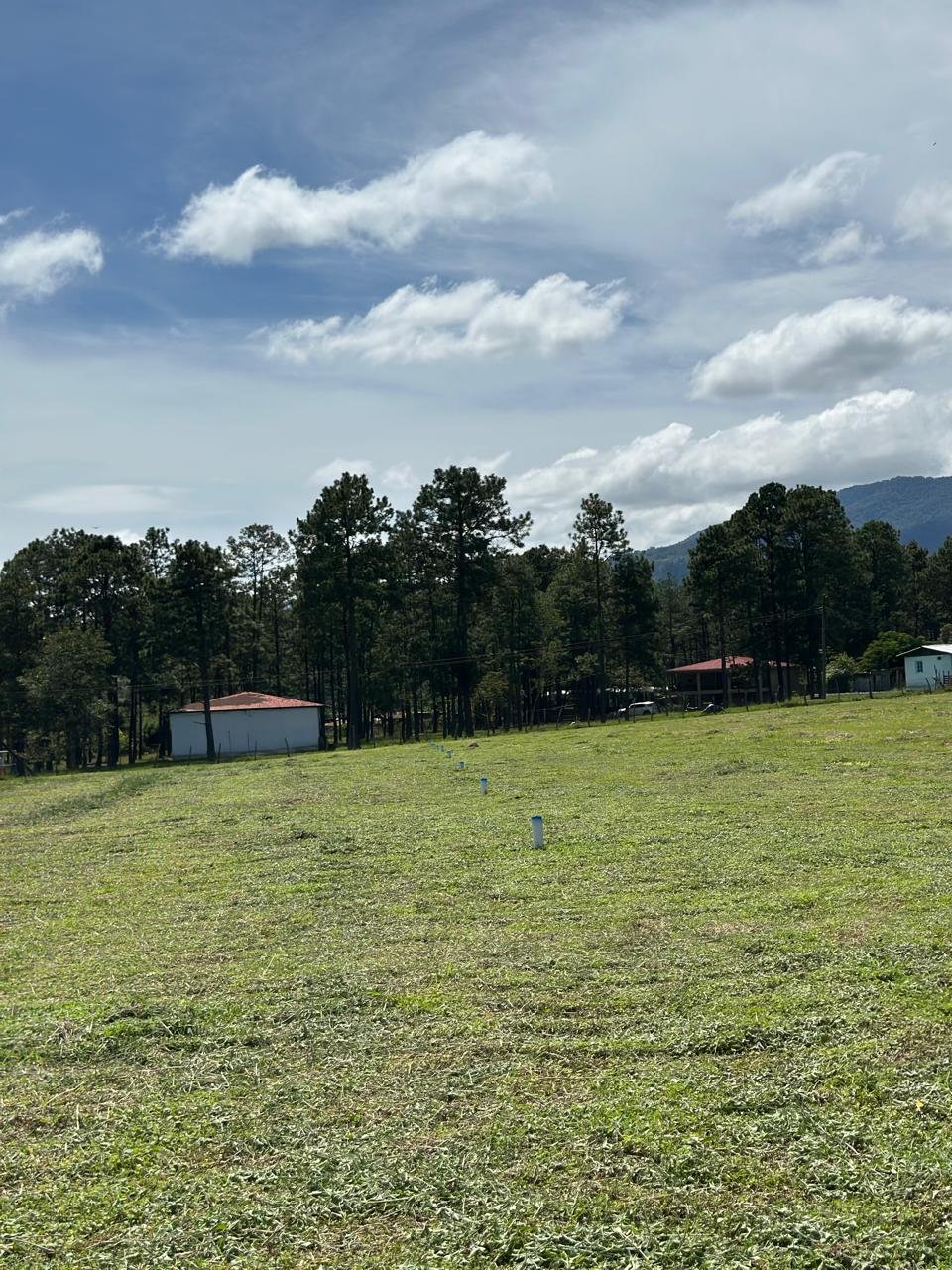 whatsapp image 2025 11 16 at 21.54.37 (1)