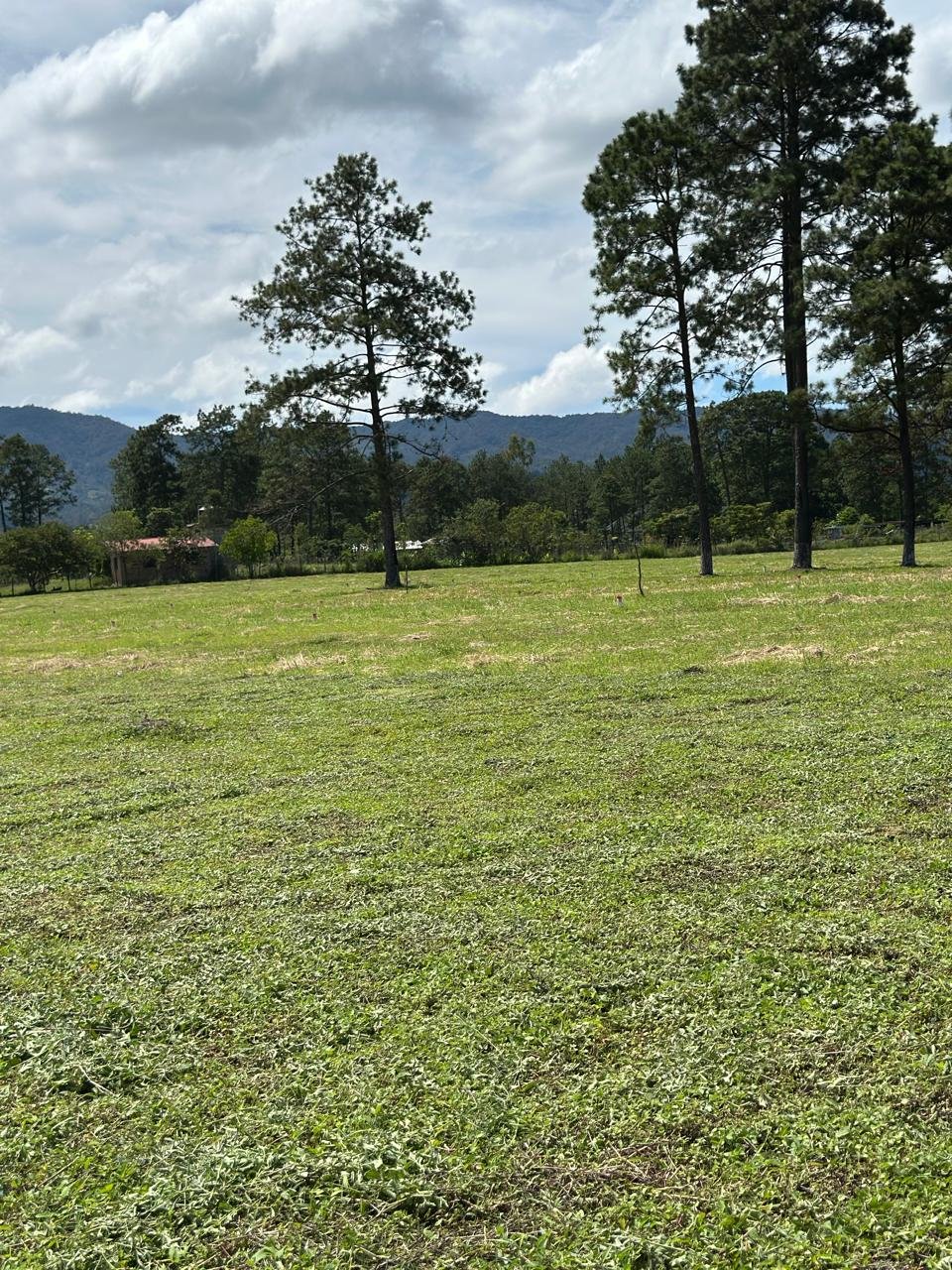 whatsapp image 2025 11 16 at 21.54.37 (2)