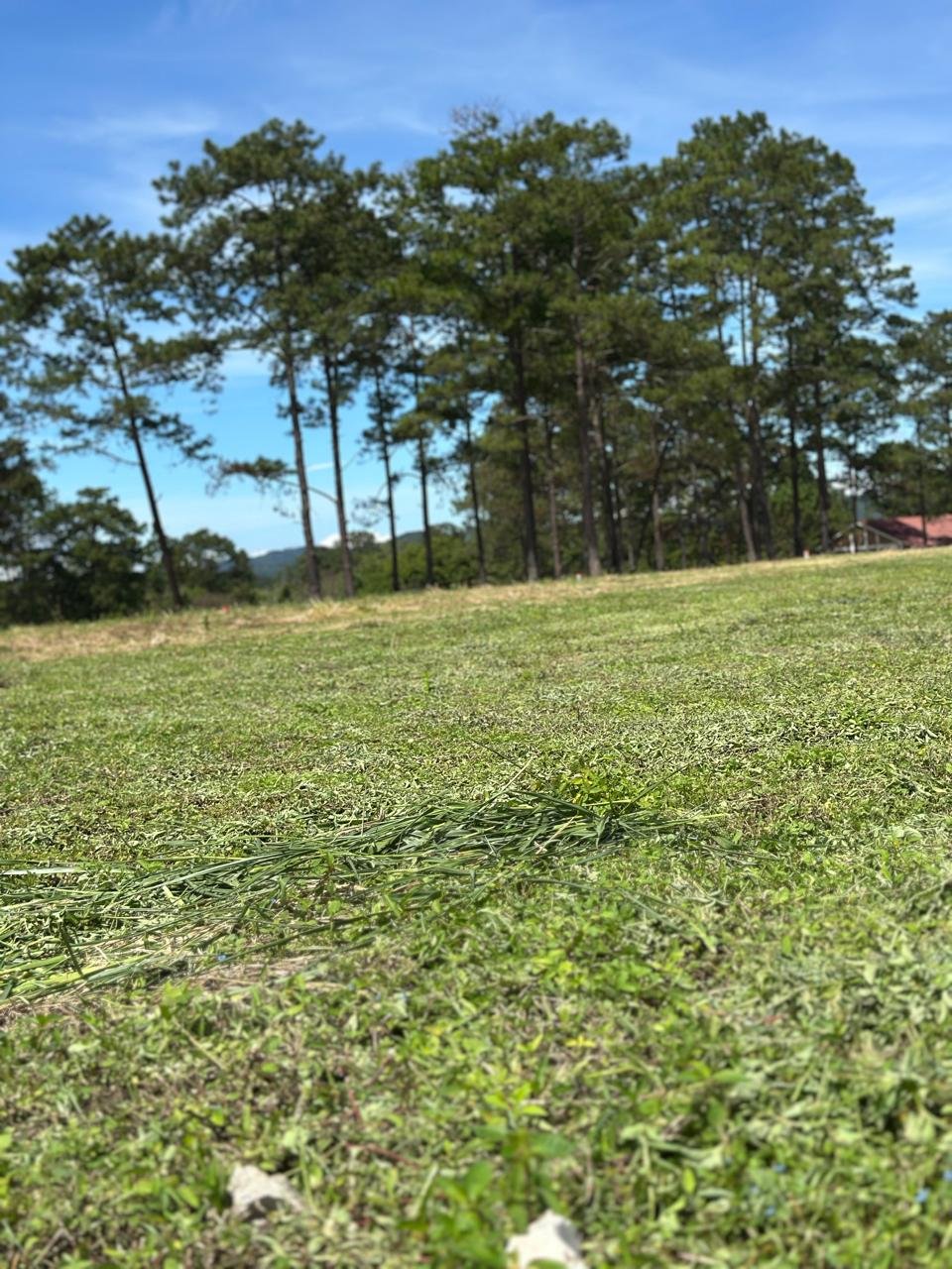 whatsapp image 2025 11 16 at 21.54.37