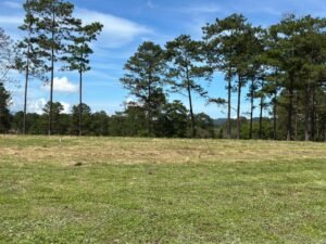 whatsapp image 2025 11 16 at 21.54.38 (2)