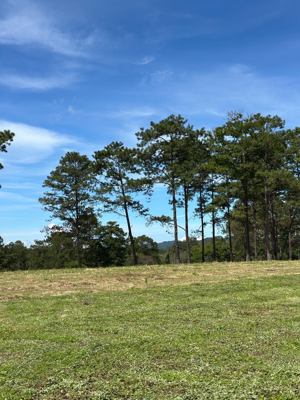 whatsapp image 2025 11 16 at 21.54.38 (3)