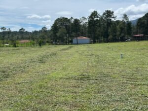 whatsapp image 2025 11 16 at 21.54.38 (4)