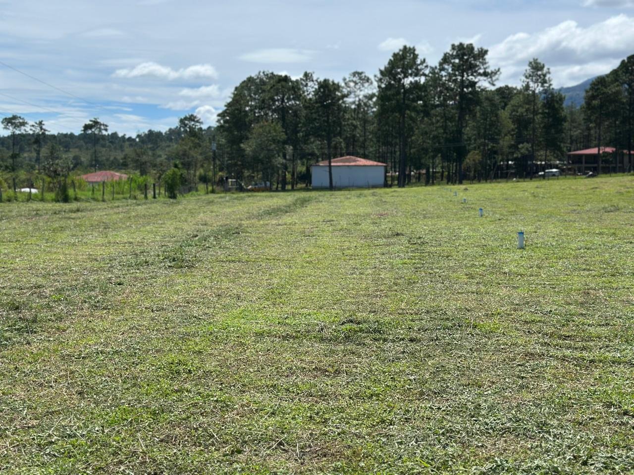 whatsapp image 2025 11 16 at 21.54.38 (4)