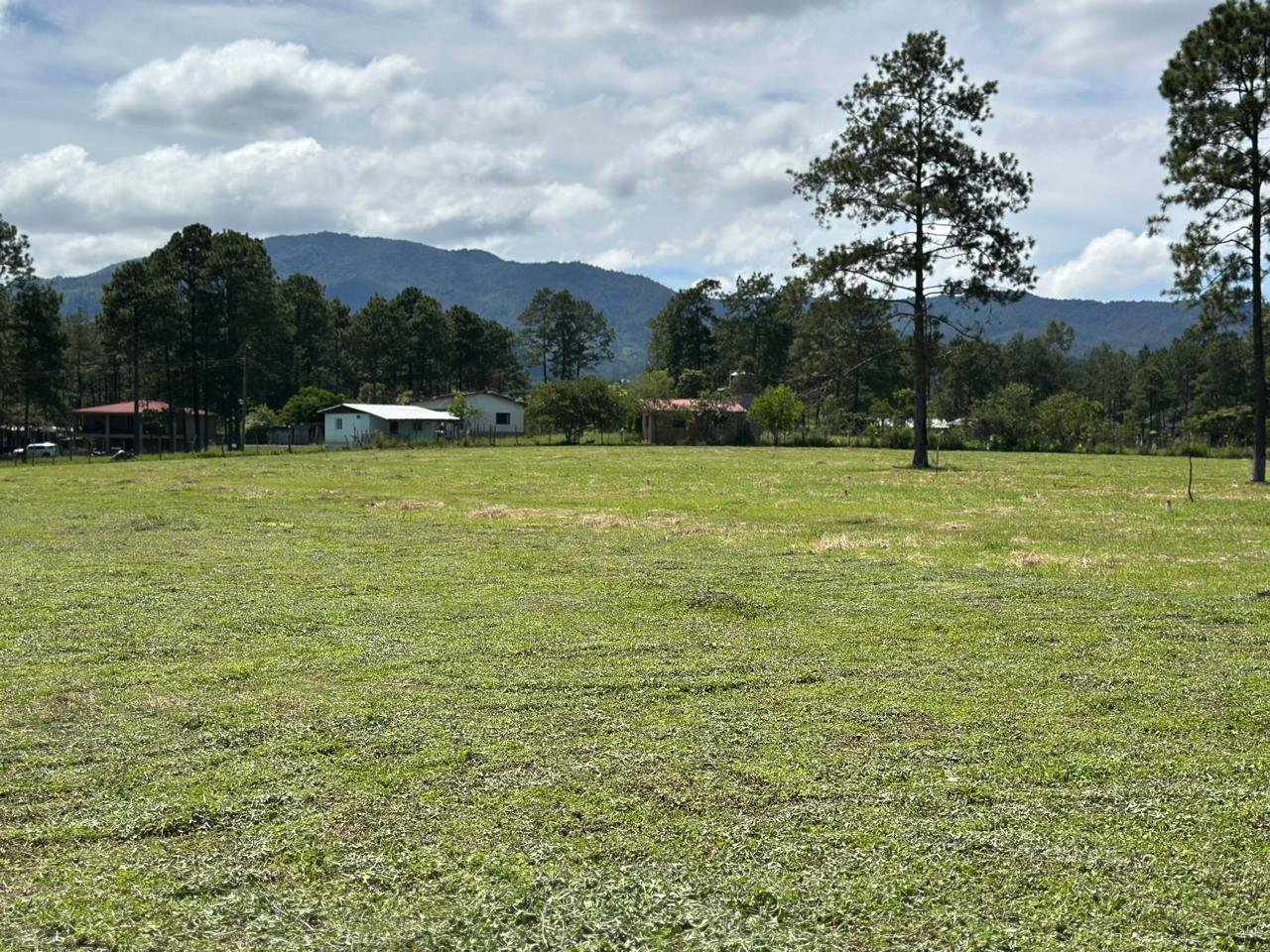 whatsapp image 2025 11 16 at 21.54.38