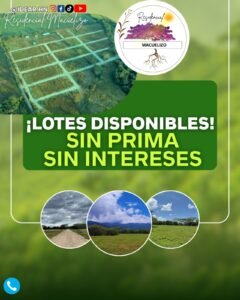 whatsapp image 2025 11 17 at 05.17.17 (4)