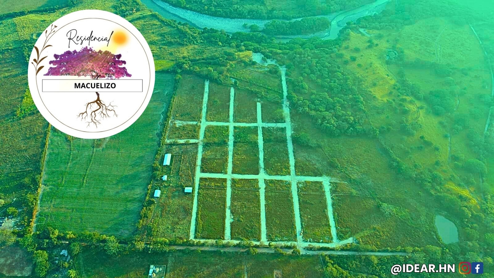 whatsapp image 2025 11 17 at 05.17.17