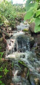 whatsapp image 2025 11 17 at 05.17.18 (1)