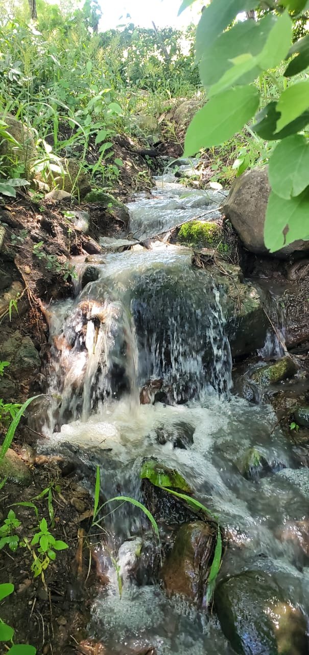 whatsapp image 2025 11 17 at 05.17.18 (1)