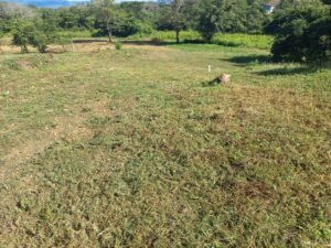 whatsapp image 2025 11 17 at 05.17.18 (2)