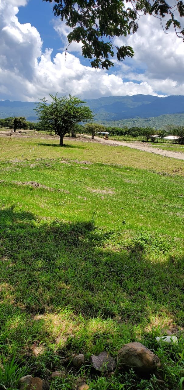 whatsapp image 2025 11 17 at 05.17.18