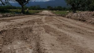 whatsapp image 2025 11 17 at 05.17.19