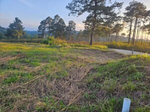 whatsapp image 2025 12 01 at 20.11.35