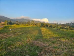 whatsapp image 2025 12 01 at 20.11.36 (1)