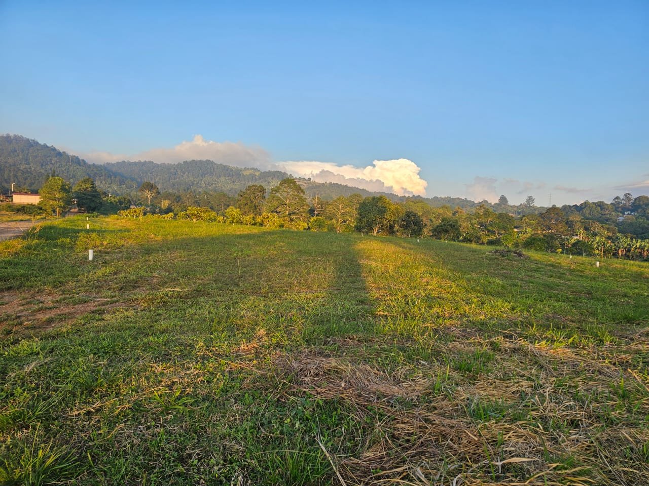 whatsapp image 2025 12 01 at 20.11.36 (1)