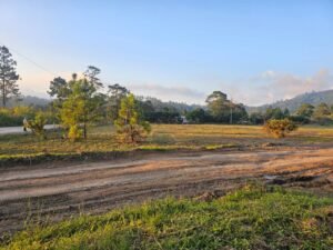 whatsapp image 2025 12 01 at 20.11.36 (2)