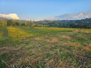 whatsapp image 2025 12 01 at 20.11.36 (3)