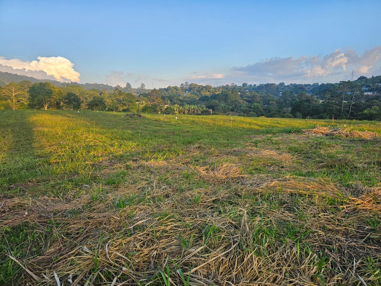 whatsapp image 2025 12 01 at 20.11.36 (3)