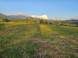 whatsapp image 2025 12 01 at 20.11.36