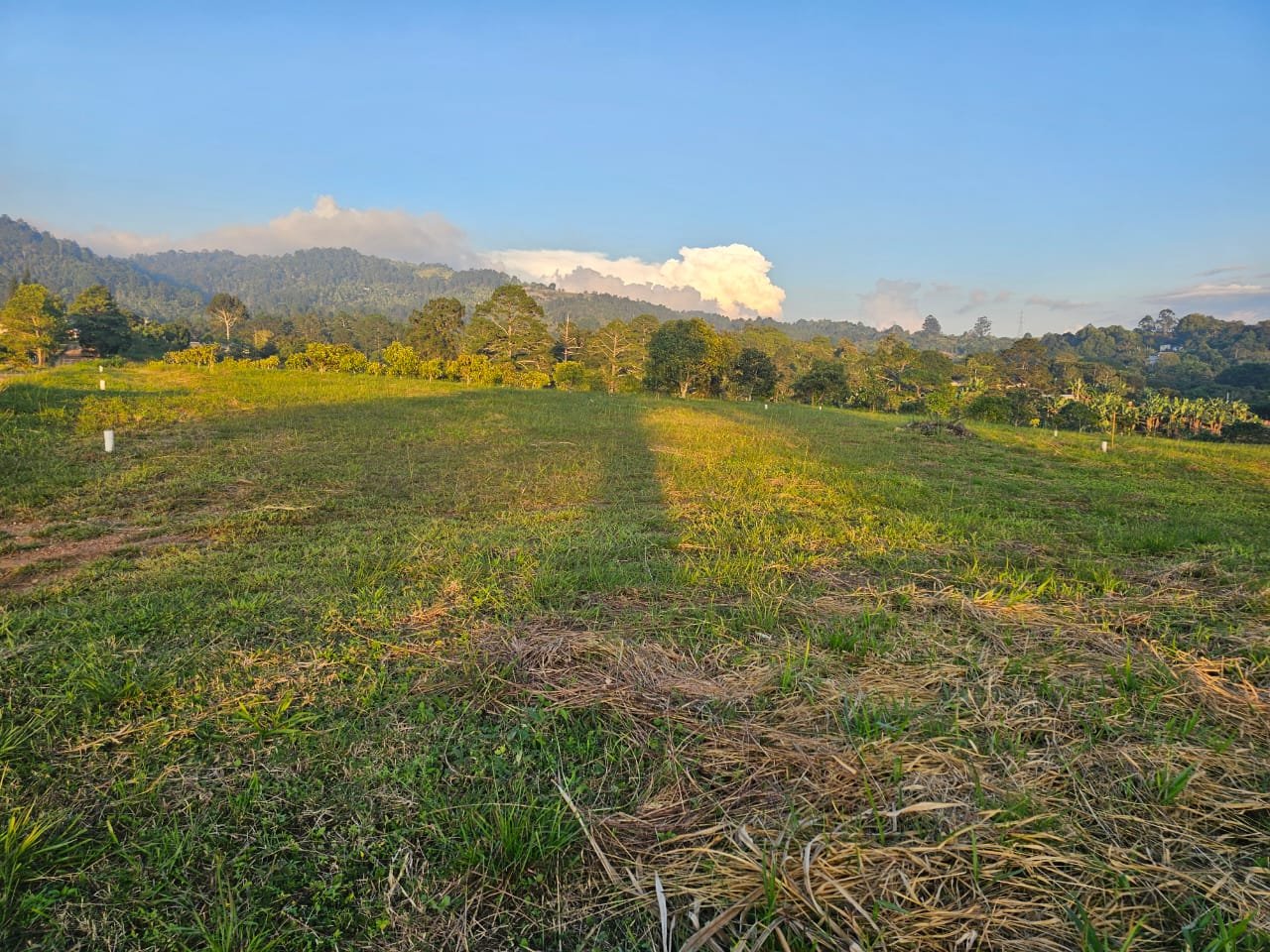 whatsapp image 2025 12 01 at 20.11.36