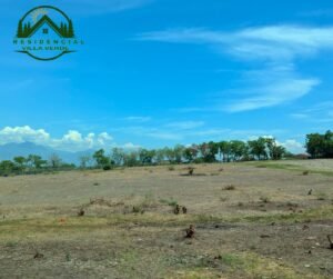 whatsapp image 2025 12 02 at 07.58.07 (1)