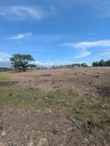 whatsapp image 2025 12 02 at 07.58.08 (1)