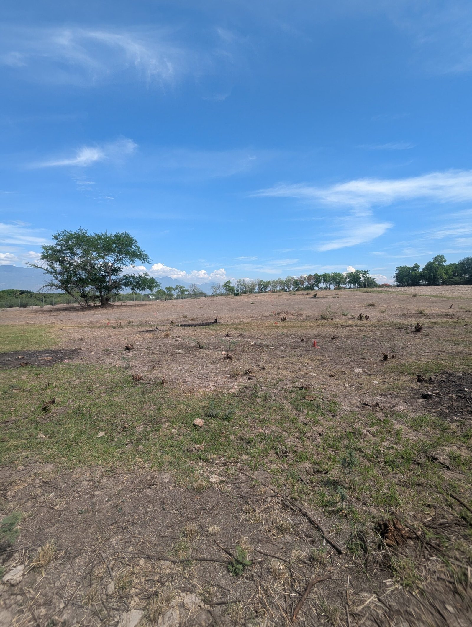 whatsapp image 2025 12 02 at 07.58.08 (1)