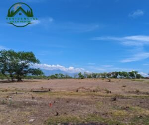 whatsapp image 2025 12 02 at 07.58.08