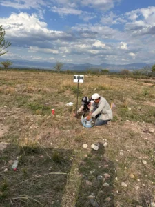 whatsapp image 2025 12 06 at 17.30.17 (1)