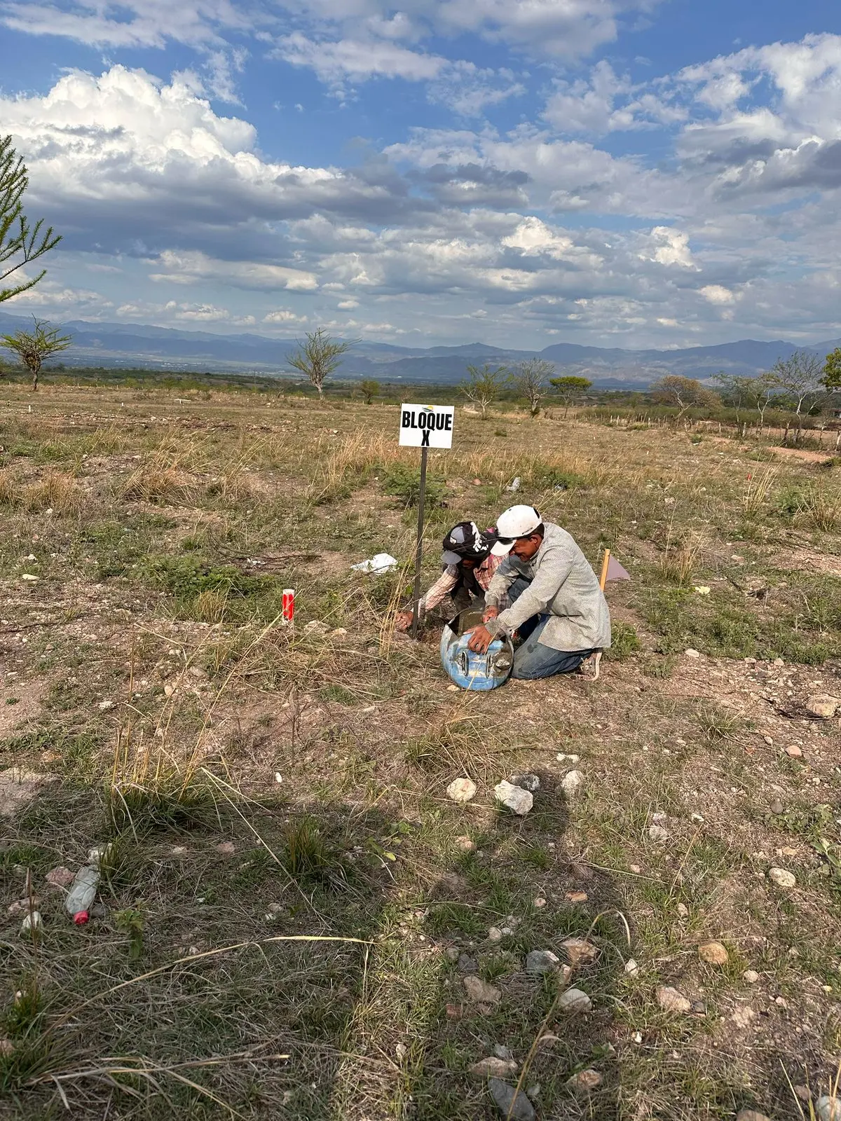 whatsapp image 2025 12 06 at 17.30.17 (1)