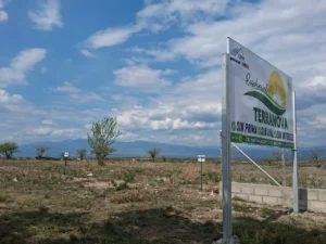 whatsapp image 2025 12 06 at 17.30.17