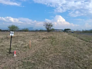 whatsapp image 2025 12 06 at 17.30.18 (1)