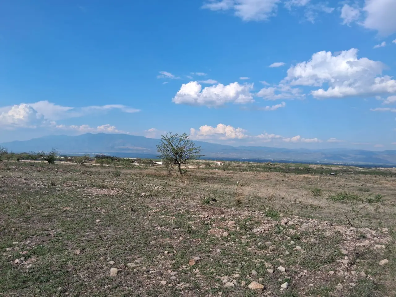 whatsapp image 2025 12 06 at 17.30.18